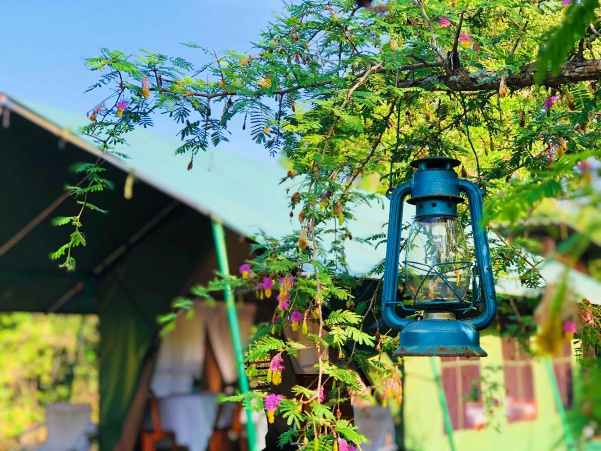Eden Yala Hotel Luaran gambar