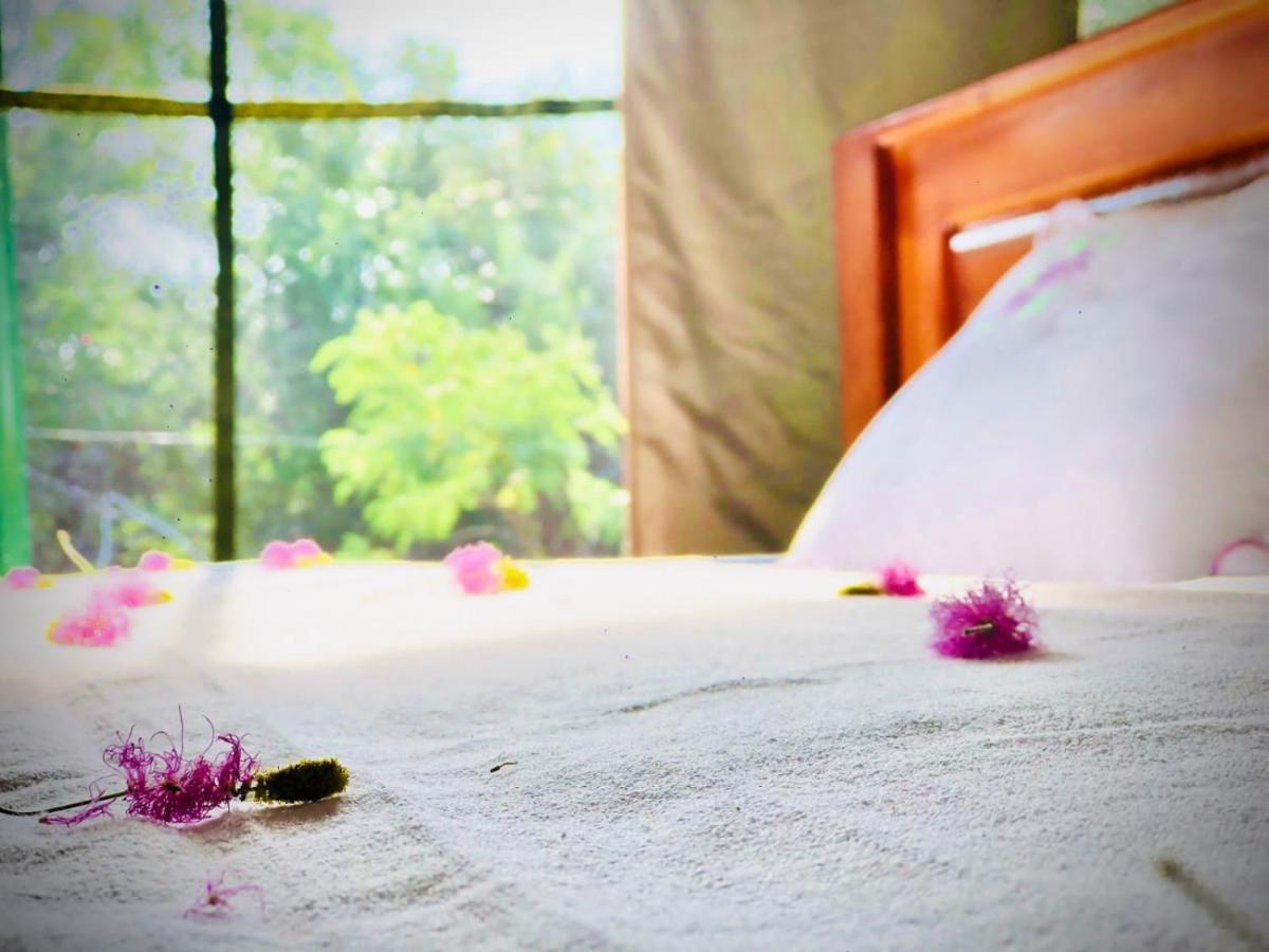 Eden Yala Hotel Luaran gambar