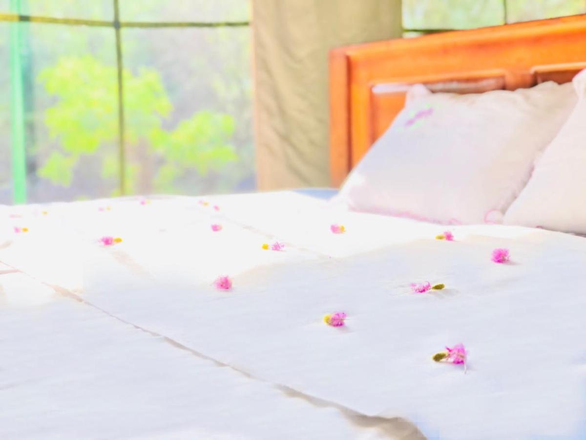 Eden Yala Hotel Luaran gambar