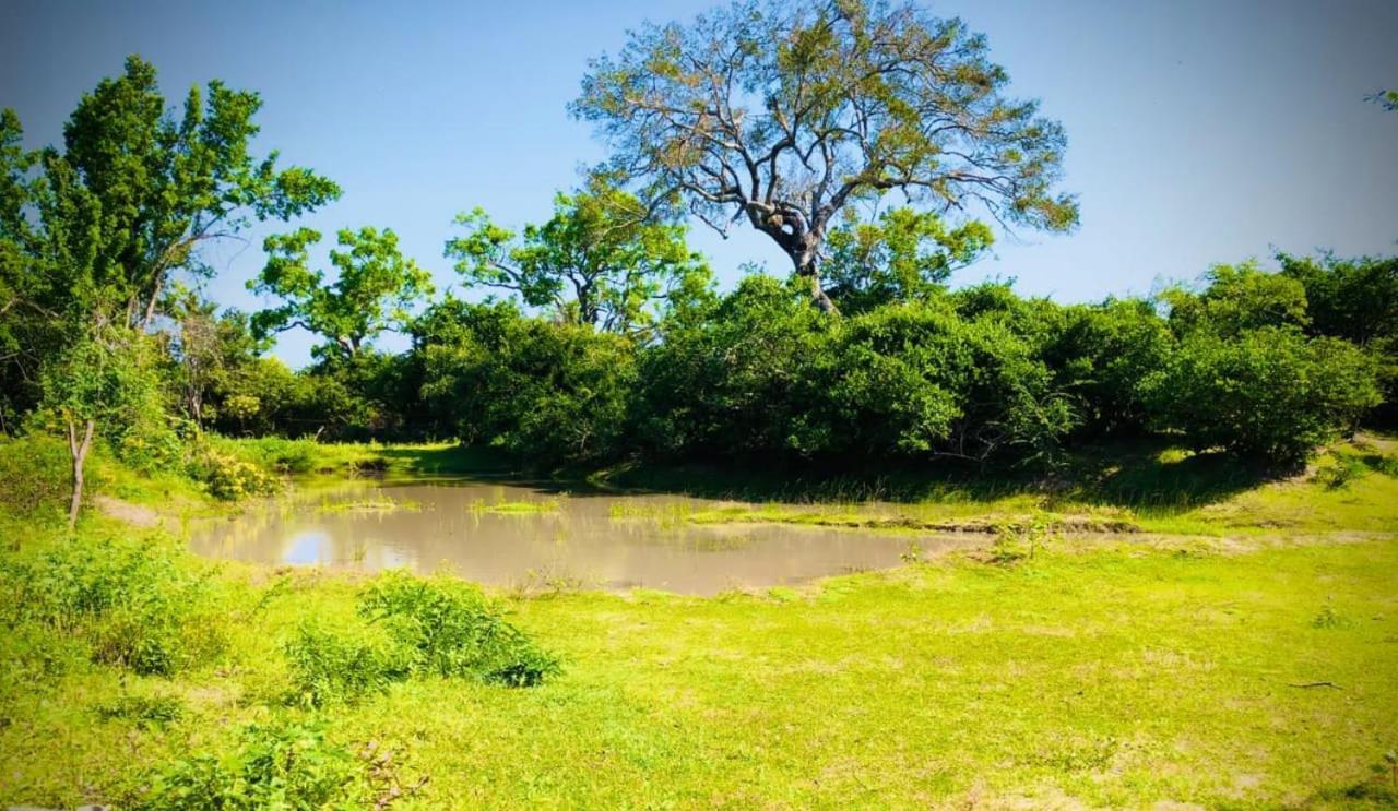Eden Yala Hotel Luaran gambar