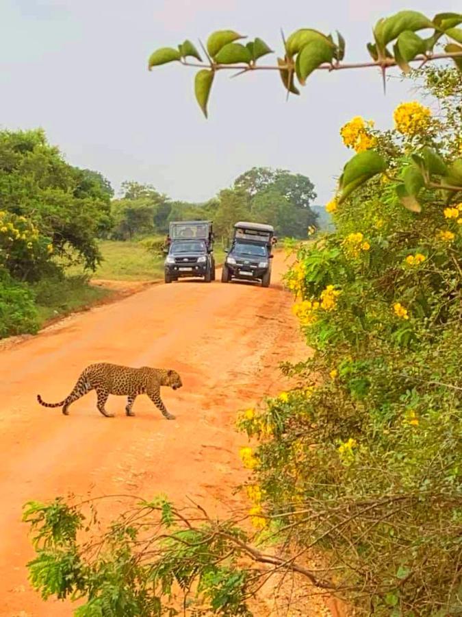 Eden Yala Hotel Luaran gambar