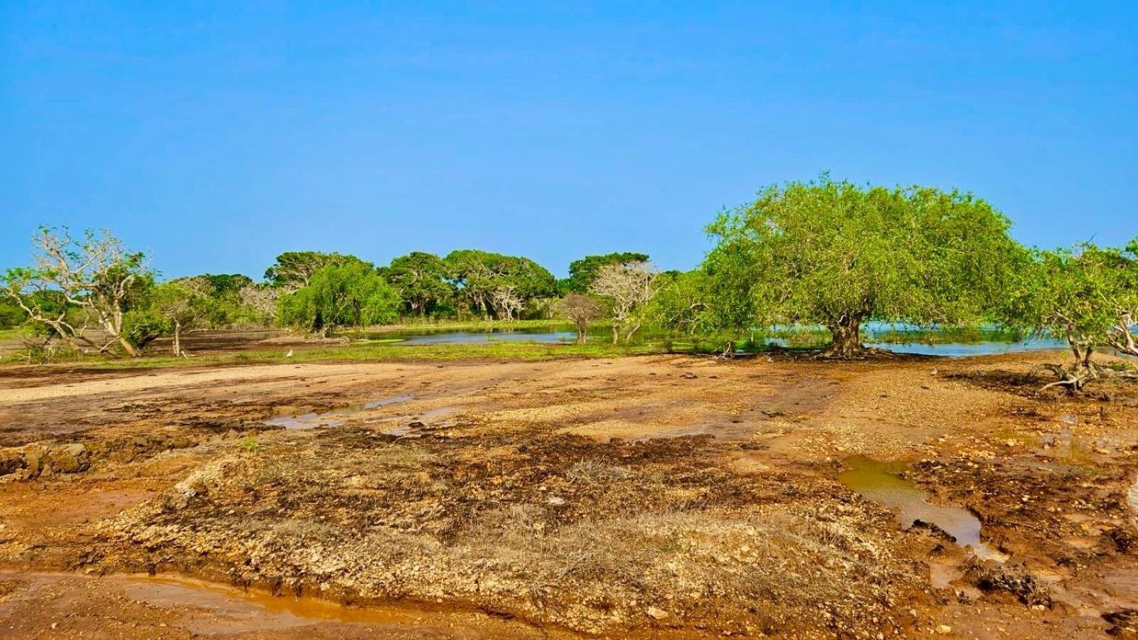 Eden Yala Hotel Luaran gambar