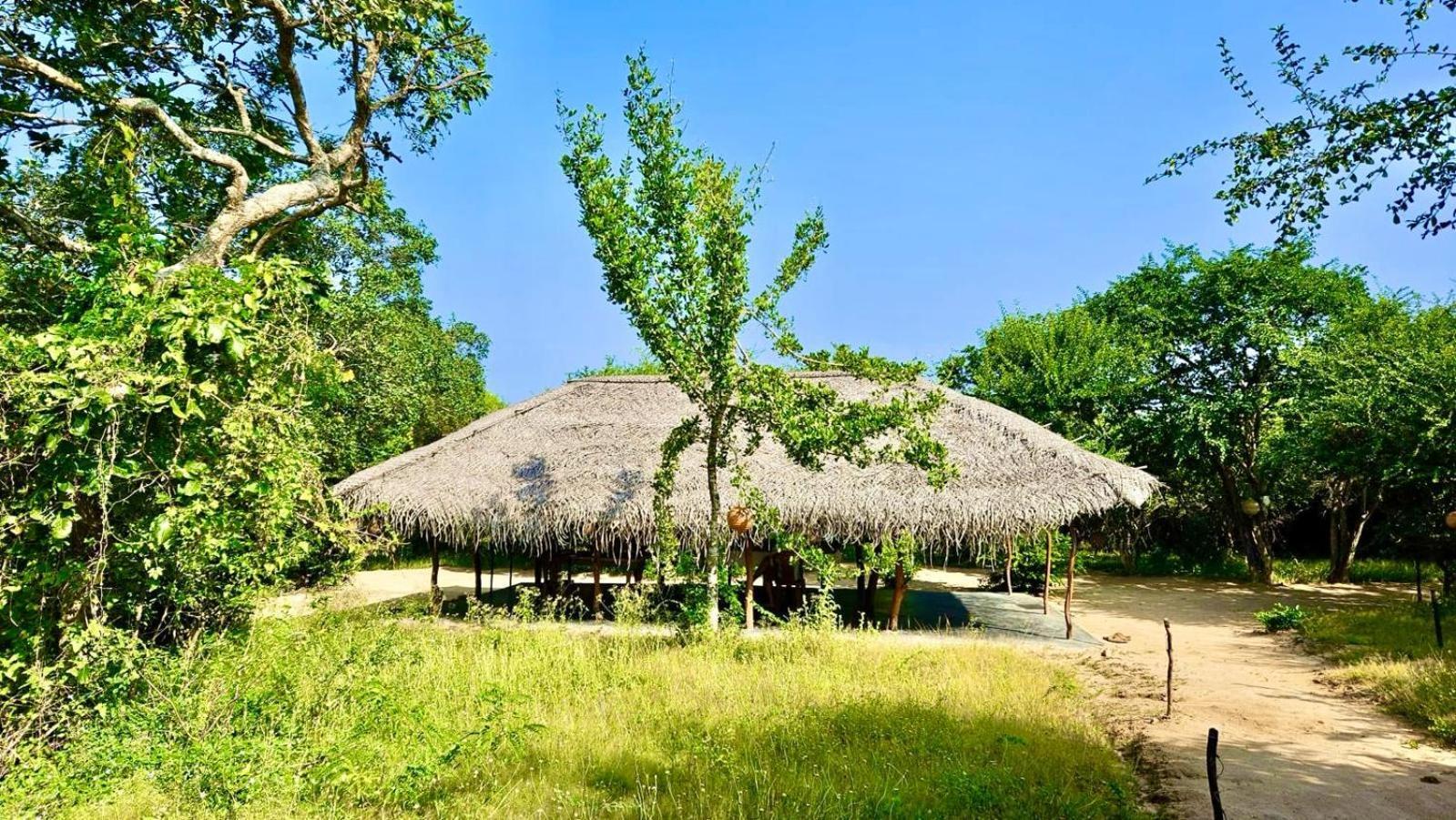 Eden Yala Hotel Luaran gambar