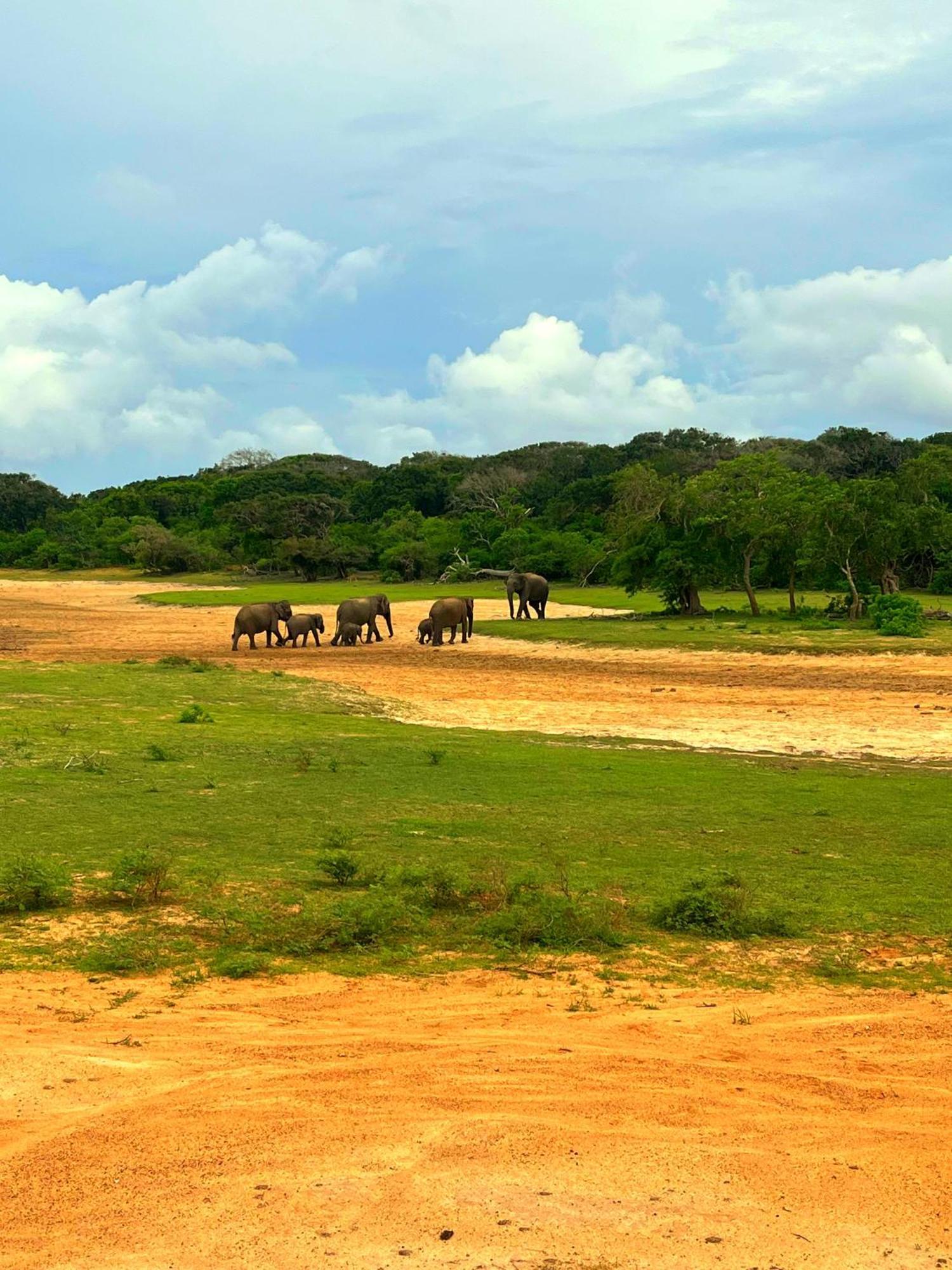 Eden Yala Hotel Luaran gambar